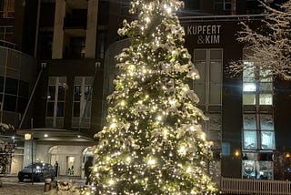 The Unnoticed Amazing Glittery Christmas Lighting That You Will Surely Love!