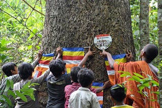 Opinion: Cambodia Needs More Active Environmental Youth Engagement