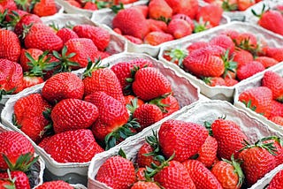 From Field to Table: The Strawberry Harvest Season in Germany