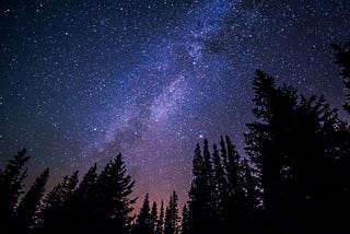 A blue-purple sky covered in stars. A dark treeline is at the bottom of the picture.