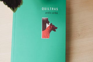 Arelis Uribe y las quiltras callejeras
