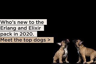 Which new companies are using Erlang and Elixir? #MyTopdogStatus
