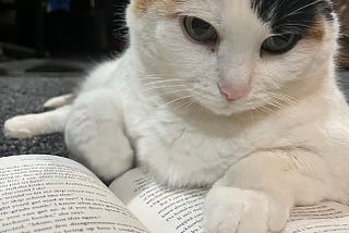 What Do I Do in a Reading Slump?