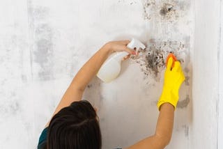 Secrets to Know About Mold Inspection and Specialists in Los Angeles