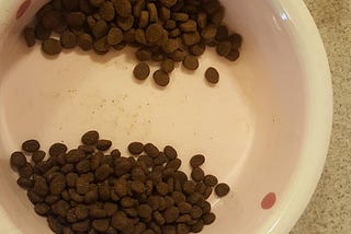 Navigating the world of commercial dog food