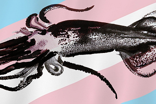 Drawing of a squid over a trans flag.