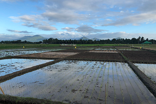 Breaking Down Silos: Addressing Conflict and Climate Change in the Philippines