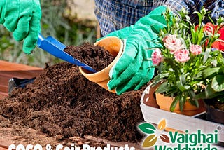 What Is Coco Peat: Learn About Planting In Coco Peat Media