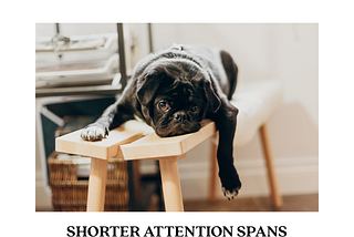Shorter attention spans