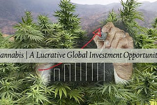 Cannabis | A Lucrative Global Investment Opportunity
