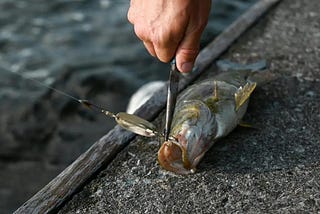 Spinnerbaits for Smallmouth Bass Ultimate Guide 2024