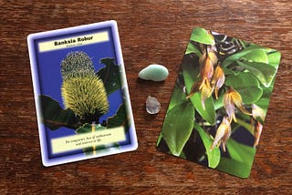 Spring Equinox Release and Renewal