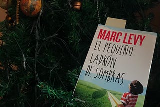 El Pequeño Ladrón de Sombras: Un llamado al niño interior que dejamos atrás