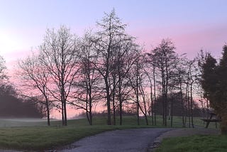Trees with a pink orange and purple sky behind and a path infront