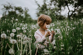 A photo of a girl sitting in a field of dendelions during daytime.