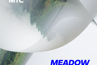 Signal Festival в партнерстве с цифровой экосистемой MTC представляет программу сцены Meadow.