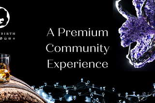 The Rebirth: A community experience of premium