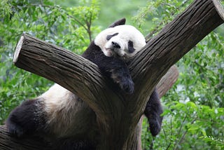 Slack Fatigue — my experiences & experiments