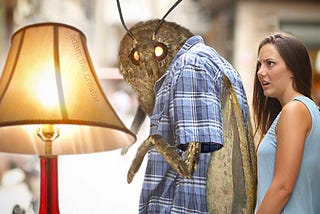 Moth Memes Helped Me Conquer an Irrational Fear of Moths