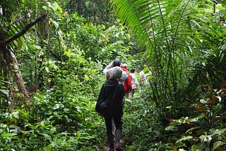 The (User) Experience of a Forest: Mental Models from Nature Immersion to Digital Immersion