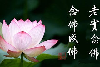 淨業三福．(三) 大乘菩薩福