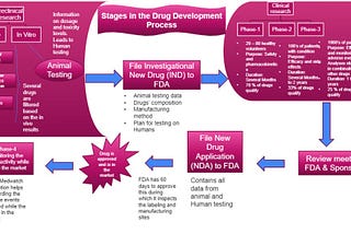 The Journey of a Drug: From Bench to Bedside