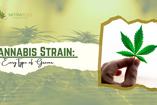 Cannabis Strain: For Every Type of Grower