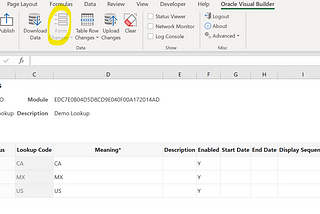 VBCS Excel Plugin — Manage Common Lookups