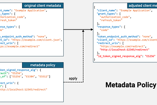 CIMD Metadata Policy