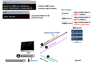 Linux Networking: DNS