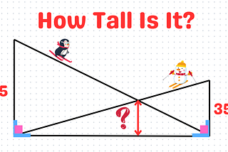 How Tall Is The Middle?