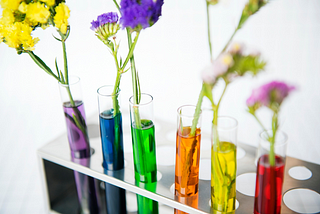 STEM Blossoms at Spring Science Fairs