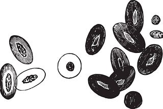 The Corpuscular Theory of Dice: An Overview