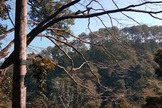 Taman Hutan Raya, Bandung.