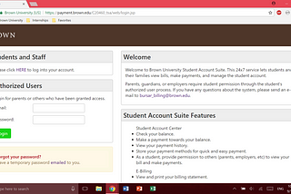 The Usability of Brown University’s Payment Website