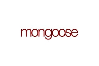 CRUD using Mongoose