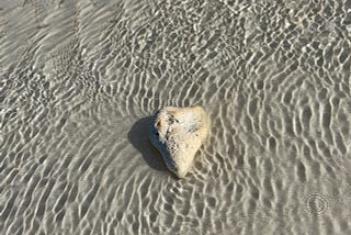 Heart shaped rock on the shore.
