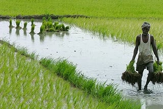 No English Shadow on Farm protests