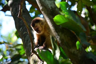 Eco Park Porto da Ilha — Bonito, MS