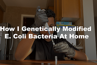 Genetically Modifying E. Coli Bacteria At Home