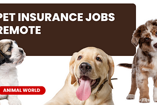 Pet Insurance Jobs Remote: A Lucrative Opportunity for Pet Enthusiasts