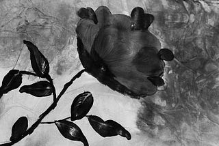 artwork of a rose and leaves in monochrome, on watercolor paper, by Author