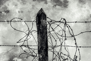 A black & white vintage photo of barbed wire tangled up around a post that is holding up the remnants of a barbed wire fence.