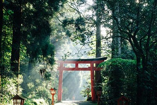 Photo of a Japanese shinto shrine in a green forest, with sunlight washing over it.