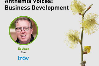 Anthemis Voices: Business Development