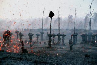 Planning a Life in the Ruins of the American Empire