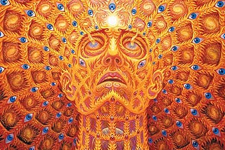 Contemplations on Dimensional Experience: Trees and Eyes
