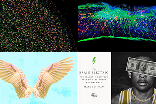 Neural Circuits, Mice Paralysis, and Octopus Intelligence: Lux Recommends #304