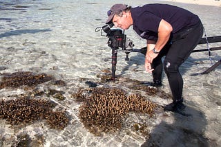 10 craziest stories from Shark Tracker by Richard Fitzpatrick (aka Australia’s shark guru)