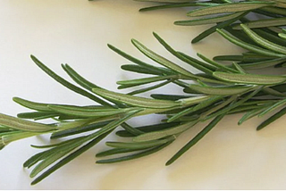 Benefits of Rosemary for Hair Growth